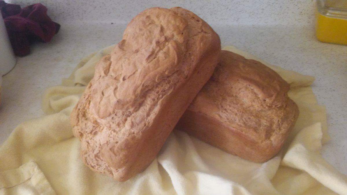 Glutenfree bread vs. Sourdough method for digestibility The Fresh Loaf